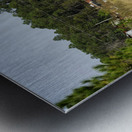 A Walk In The Park Metal print