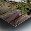 Flowers in the Junkyard Metal print