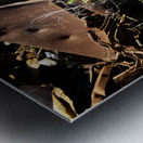 Junkyard Lemon Tree Metal print