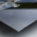 RR Hood Ornament Metal print