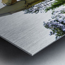 Old Rusty Excavator Metal print