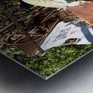 Junkyard Gold Metal print