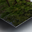 Junk Yard Gold Metal print