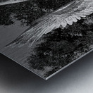 BW BSL Cemetary Guardian Metal print