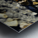 Wings of Autumn Metal print