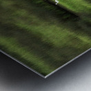 Three Is A Crowd Metal print