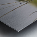 Red winged Blackbird Metal print