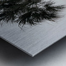 Guy s Snowy Palm Tree Metal print