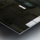 Resting Legends Metal print