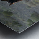 Wild Brown Horse Metal print