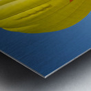 Splash and Dash Metal print