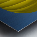 Hot Air Balloon Metal print