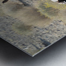 Wild Horses Metal print