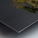 Stormy Field Metal print