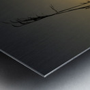 Sunset on the Port Sulphur Marsh Metal print