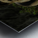 Lara Foster Metal print