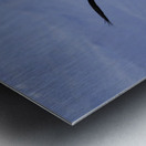 Lovers In Flight Metal print