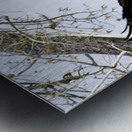 Coming Home Metal print