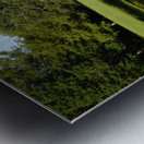 Pond Reflections Metal print