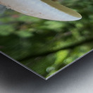 The Mushroom Metal print