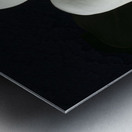 Calla Lilly Metal print