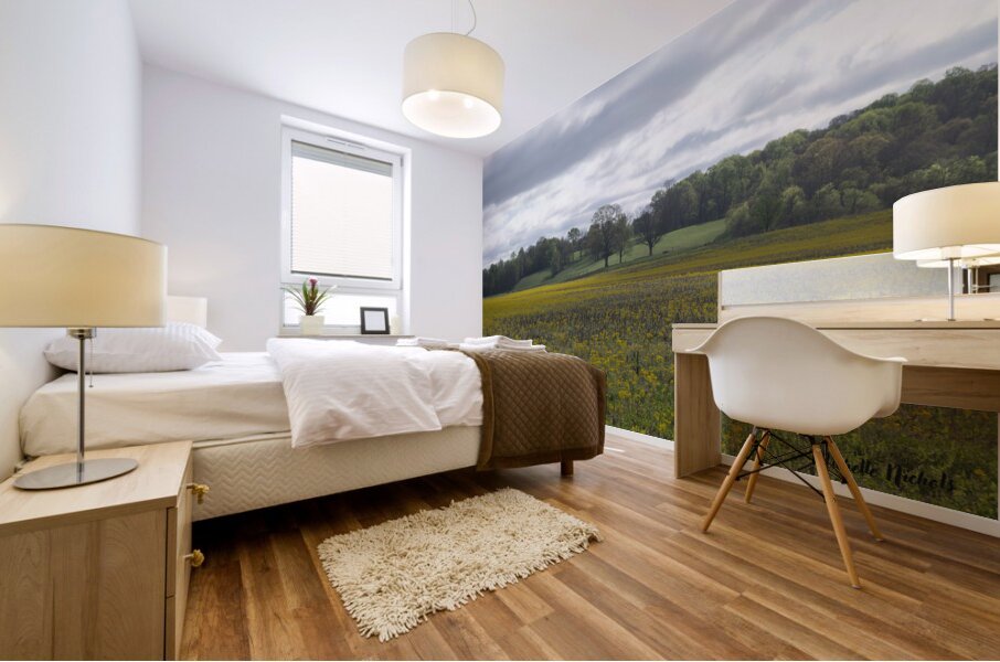 Keith Spring Mtn Valley Mural print