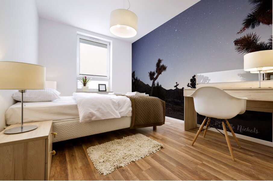 Joshua Tree National Park Mural print