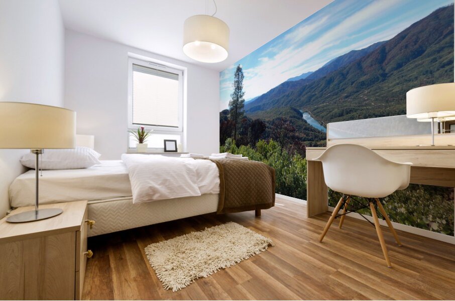 On Mount Chemise Mural print