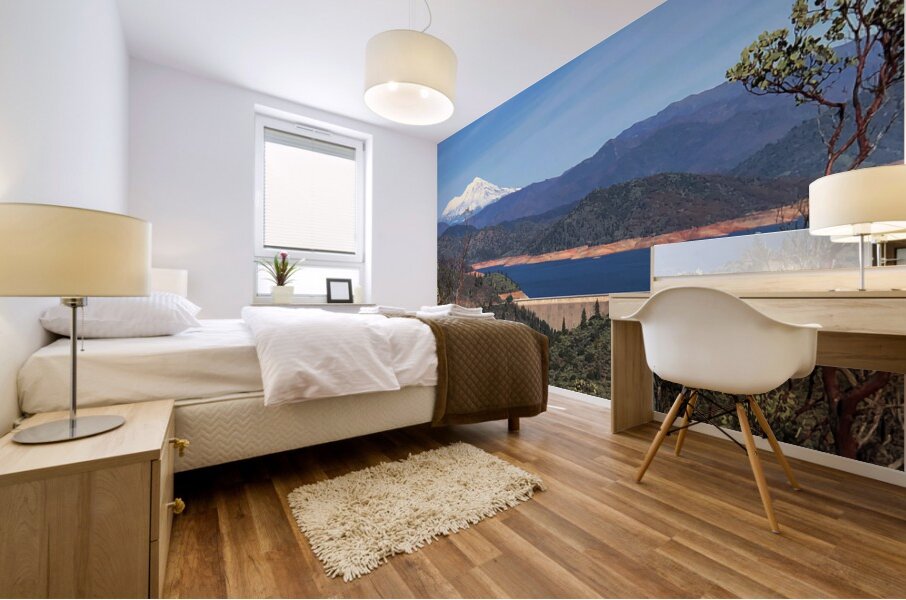 Shasta Lake Mural print