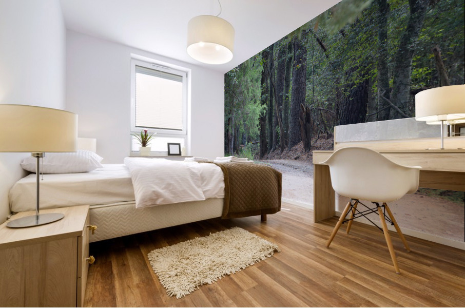 A Country Lane Mural print