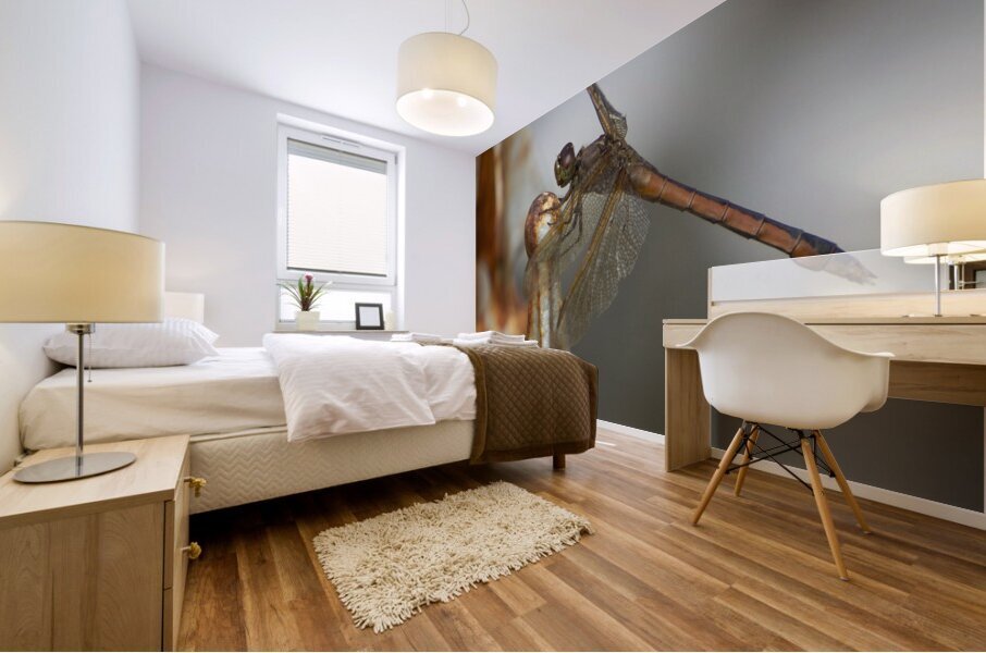Rusty the Dragonfly Mural print