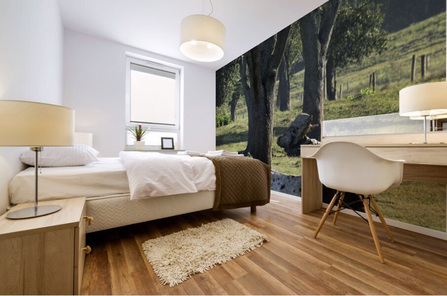 Mom and Calf Greet the Morning Mural print