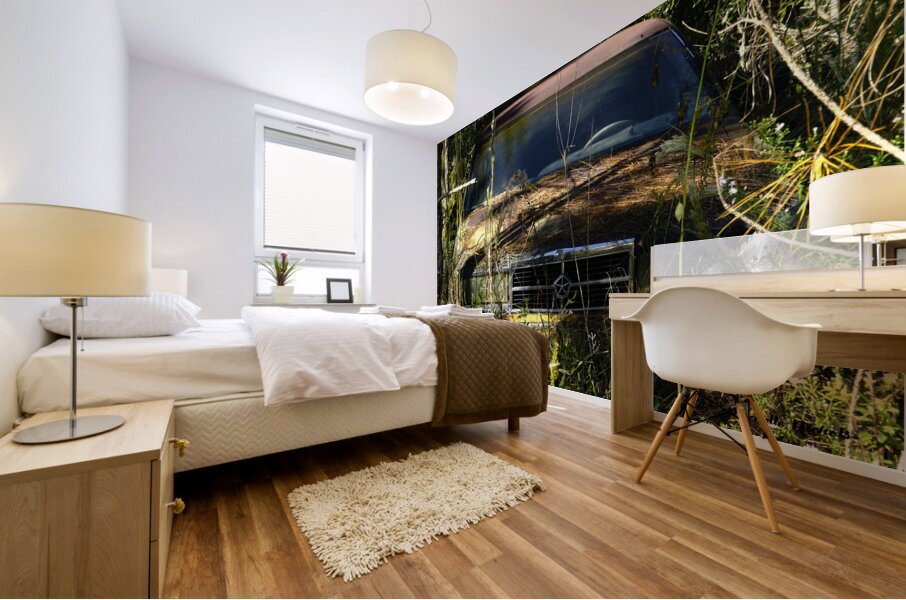 Forgotten Mural print