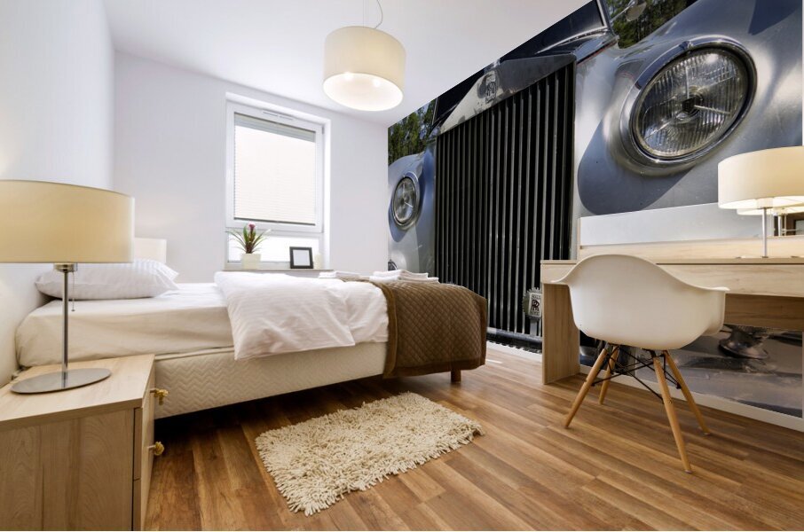 RR Front End Mural print