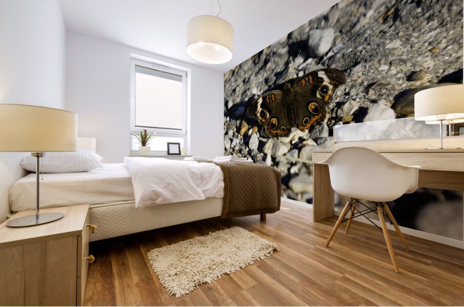 Wings of Autumn Mural print