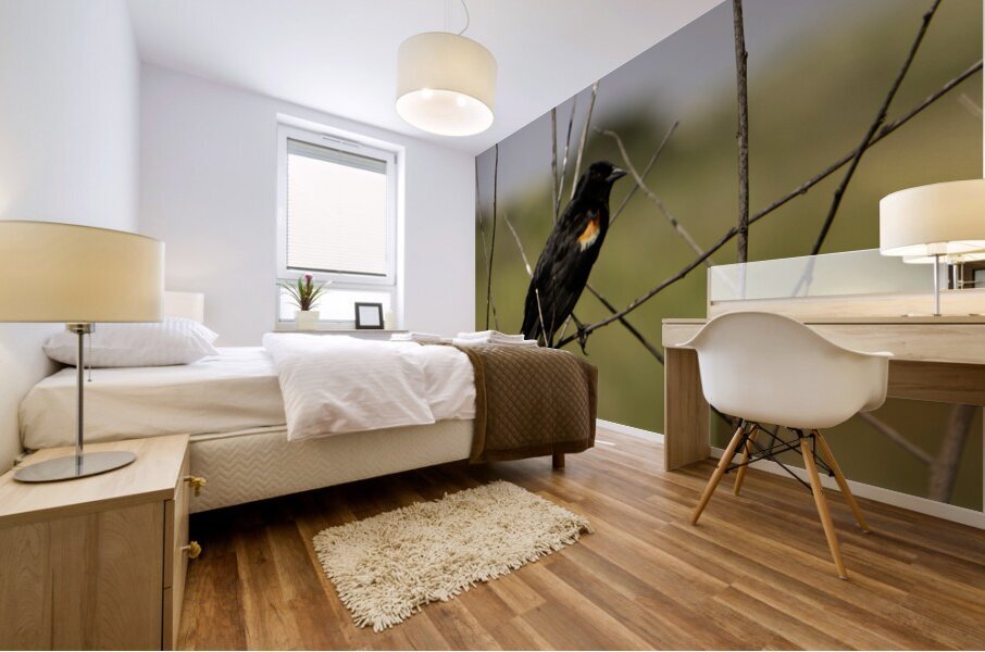Red winged Blackbird Mural print