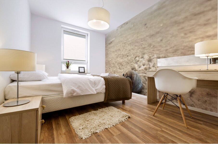 Making My Way To The Water Mural print