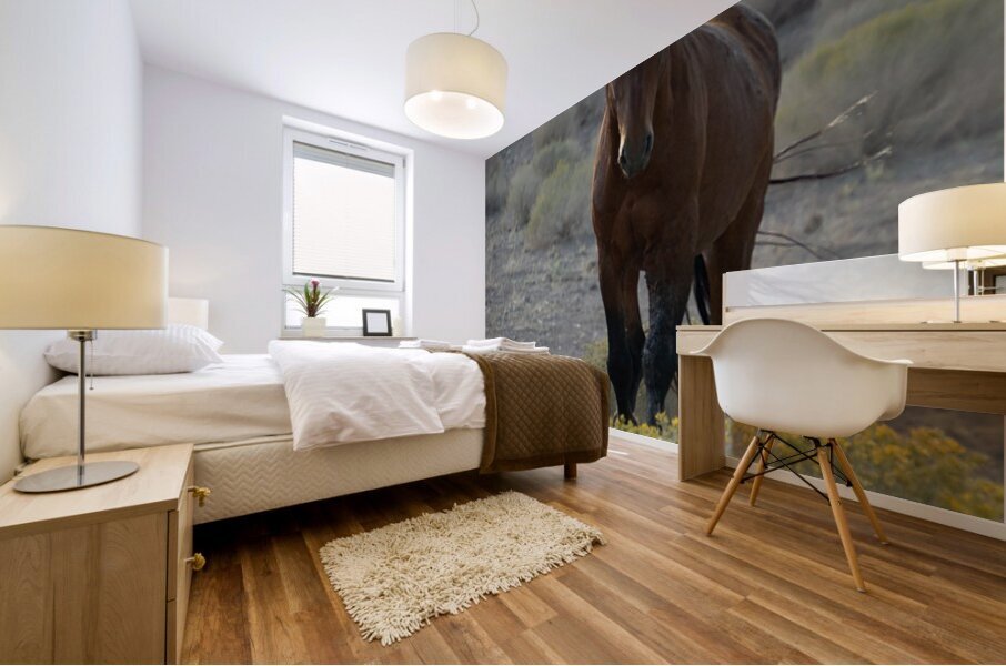 Wild Brown Horse Mural print