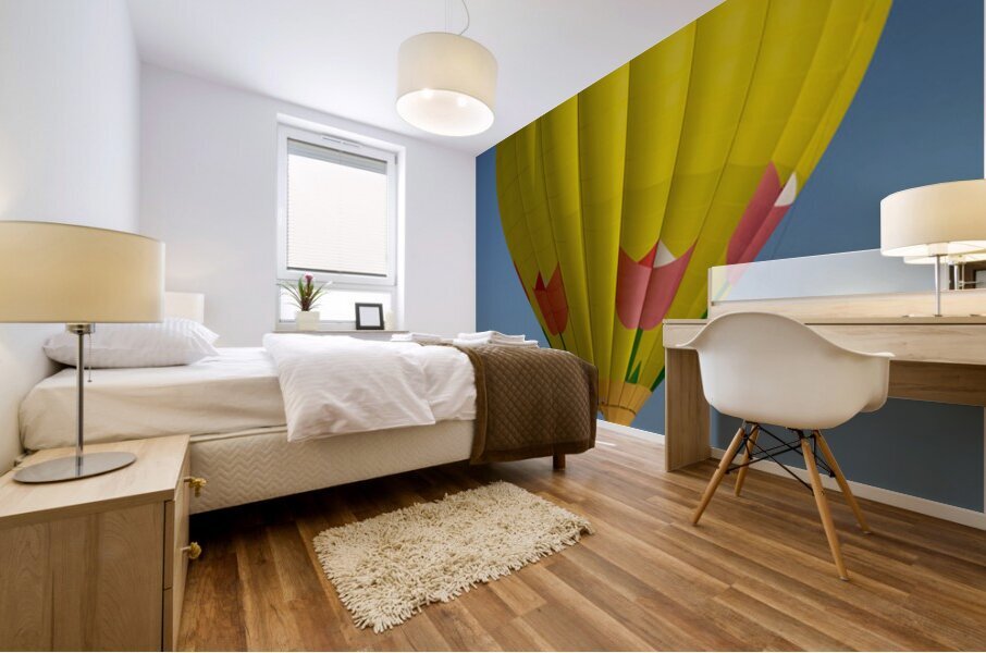 Hot Air Balloon Mural print