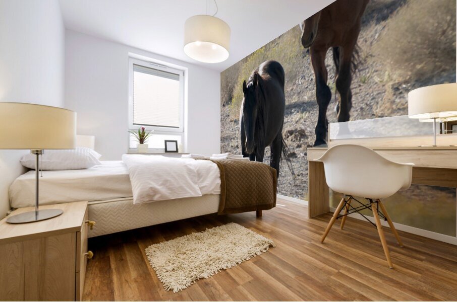 Wild Horses Mural print