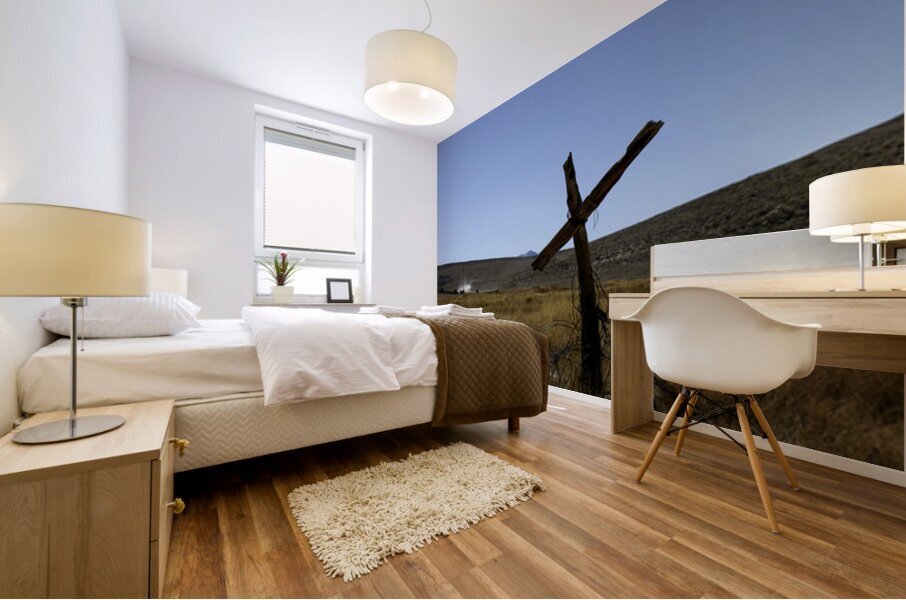 Old Fence Cross Section Mural print