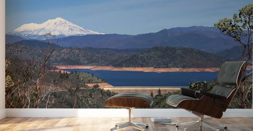 Shasta Lake Wall Murals