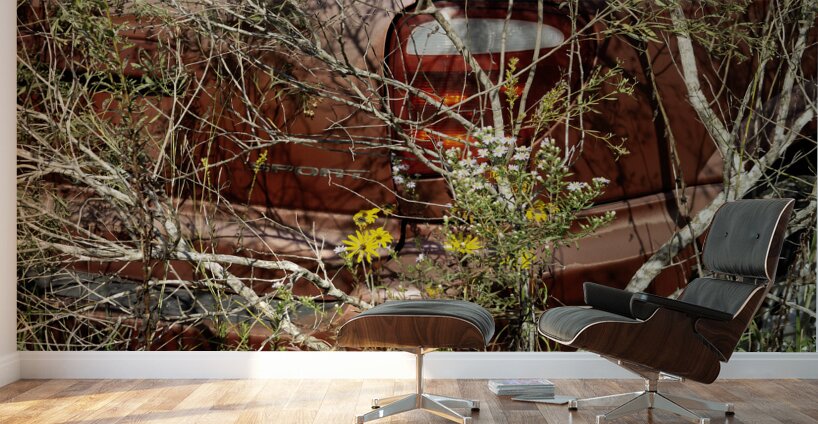 A Beautiful Bouquet Wall Murals