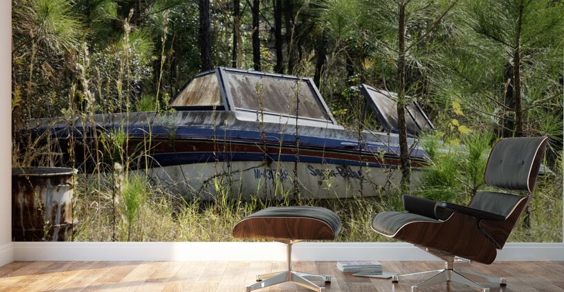 Sugar Babe Wall Murals