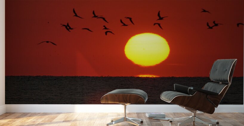 Sailor s Warning Wall Murals