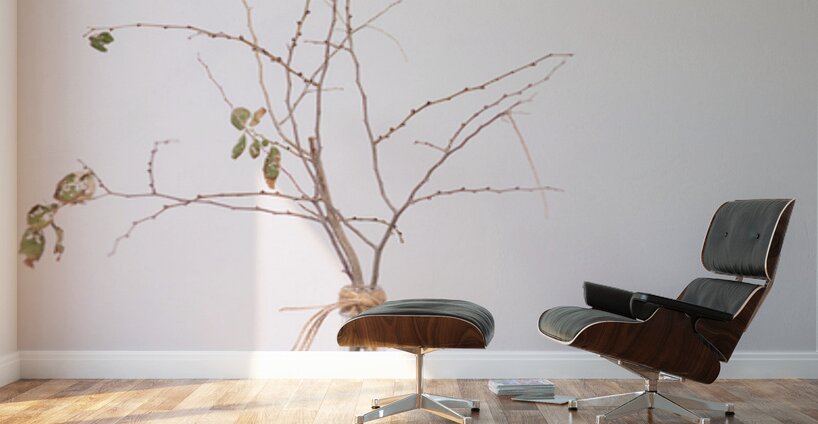 Wabi Sabi Wall Murals