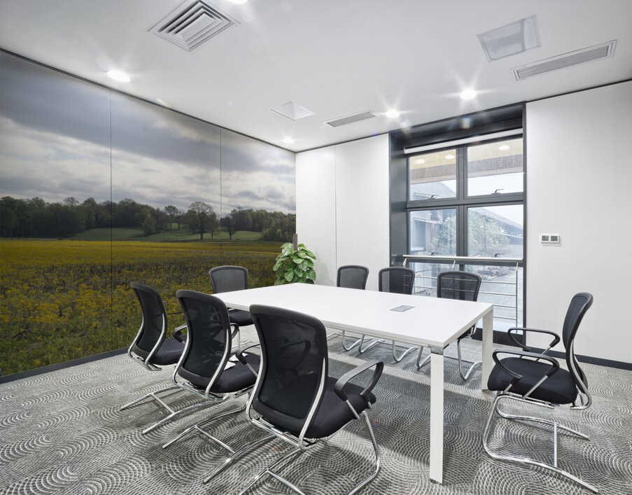 Keith Spring Mtn Valley Wall Printing