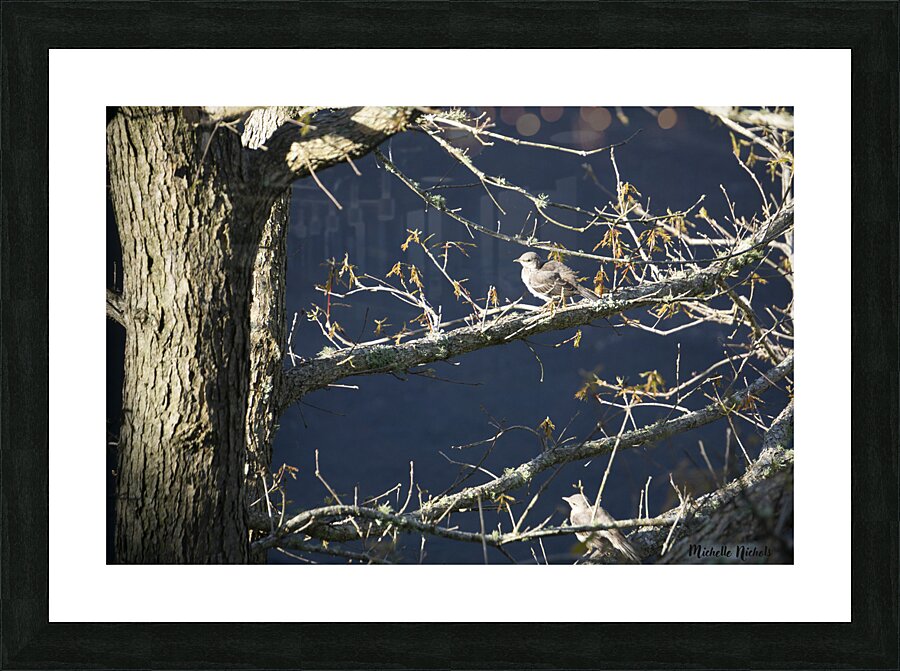 Two Little Birds Picture Frame print