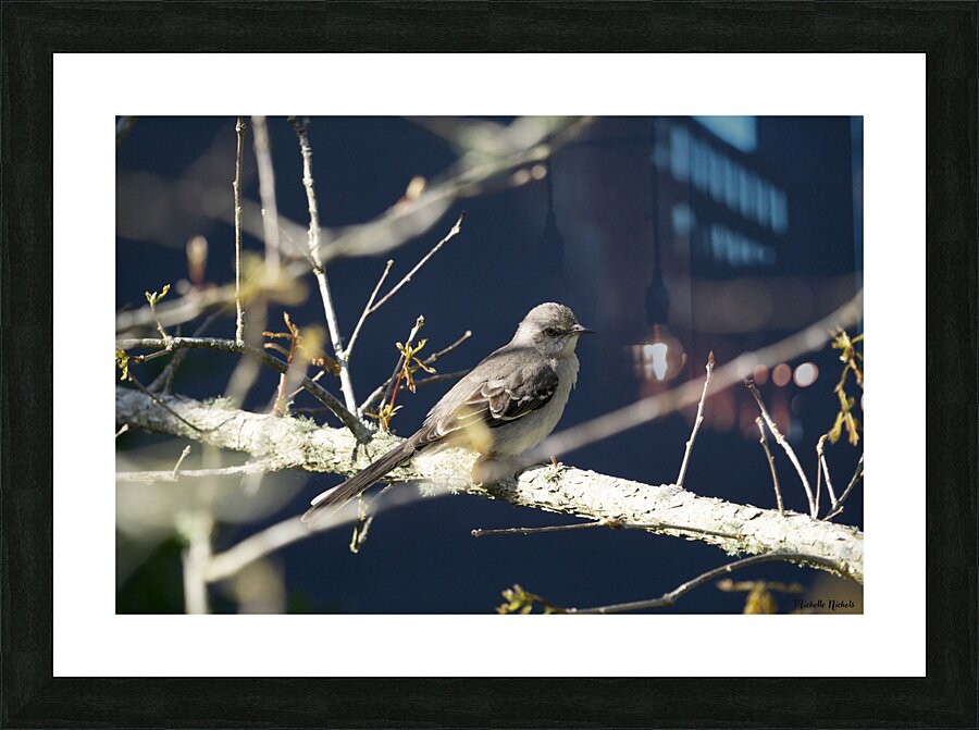 Mockingbird Picture Frame print