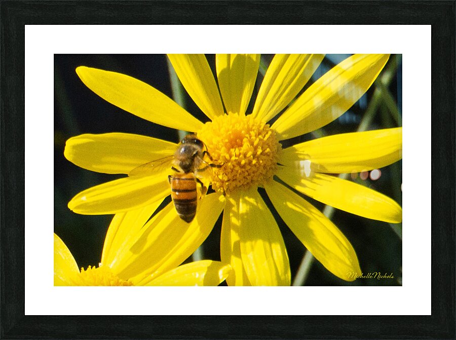 Bee The Flower Picture Frame print